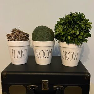 RAE DUNN SET THREE BLOOM/GROW/0OLANT FLOWER POTS with decor